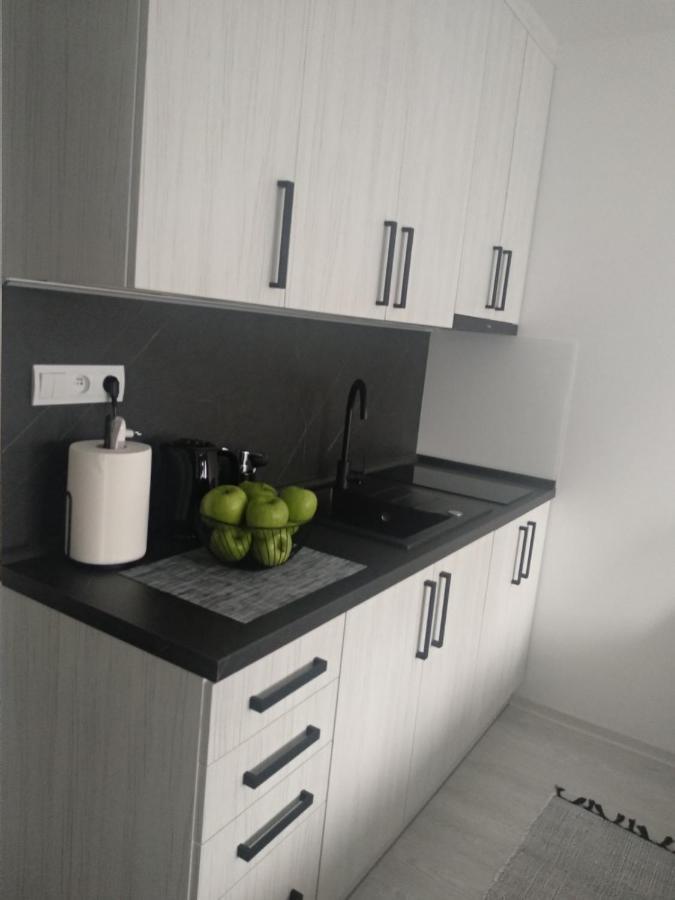 Apartment Nina Stará ľubovňa Eksteriør billede